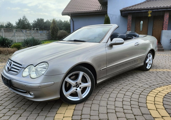 Mercedes-Benz CLK cena 30900 przebieg: 228000, rok produkcji 2004 z Olszyna małe 277